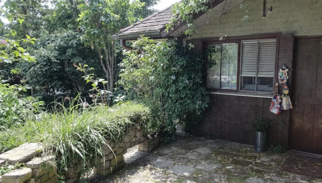 בדקתי טריק מקלחת פשוט במשך 15 יום – עכשיו חדר האמבטיה שלי נשאר יבש לתמיד. גלו איך לשמור על חדר אמבטיה נקי ונטול לחות בקלות וביעילות.