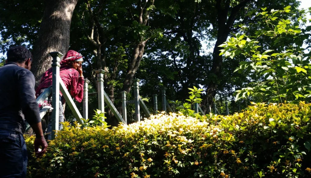 גלה כיצד החלפת המיקרוגל שינתה את המטבח שלי והביאה למהפכה בעיצוב ובנוחות השימוש.