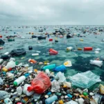 גלה את הסיבות לכך שניקוי האוקיינוסים נכשל לאחר שנים של מאמצים, והאתגרים המרכזיים בהתמודדות עם זיהום ימי והשפעתם על הסביבה הימית.