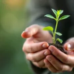 גלה מה הפסיכולוגיה חושפת לאחר צפייה במחווה זו במשך 15 יום – תובנות מעניינות על התנהגות ורגשות.