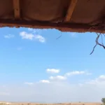 גלה מדוע גמלאי שנתן לדבורן להשתמש בקרקע שלו נאלץ לשלם מס חקלאי ואיך המצב משפיע על בעלי קרקעות.